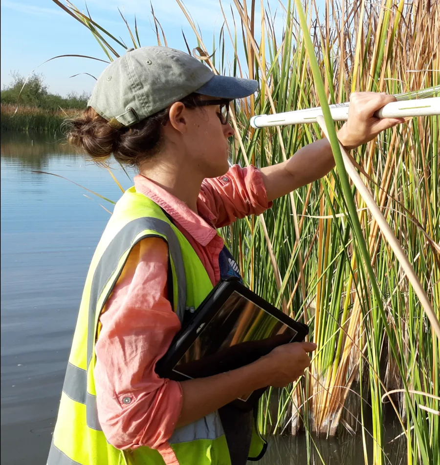 Ecological restoration specialist documenting site conditions on mobile app