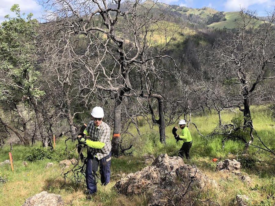 Ecosystem Services field team using SiteMarker