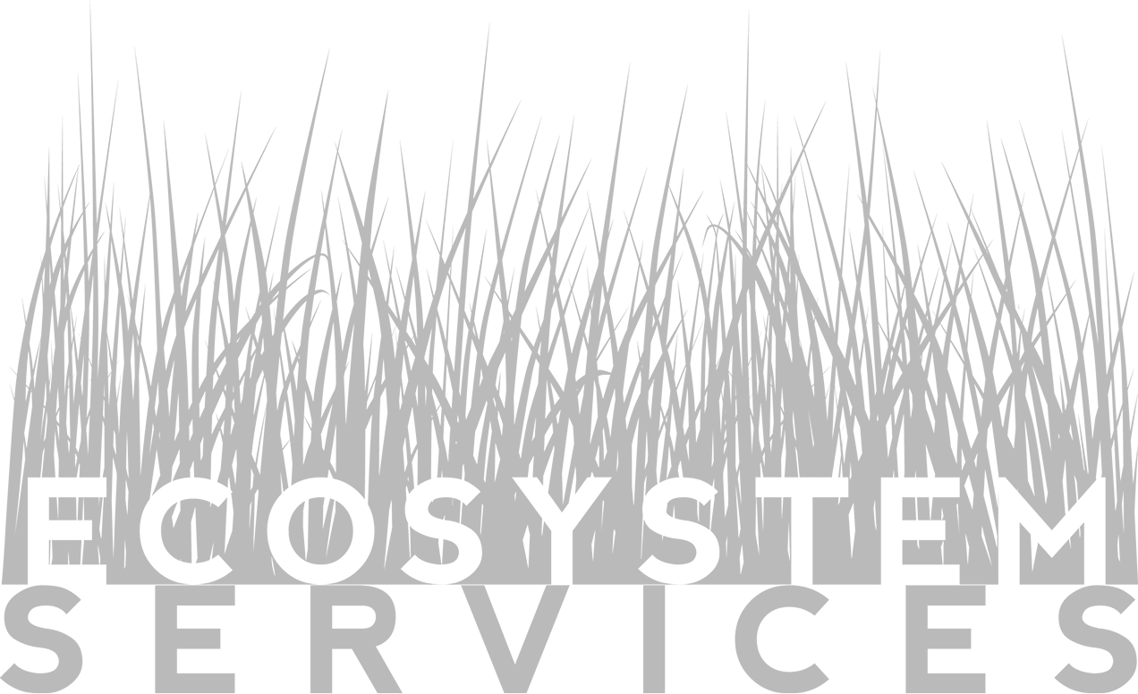 Ecosystem Services